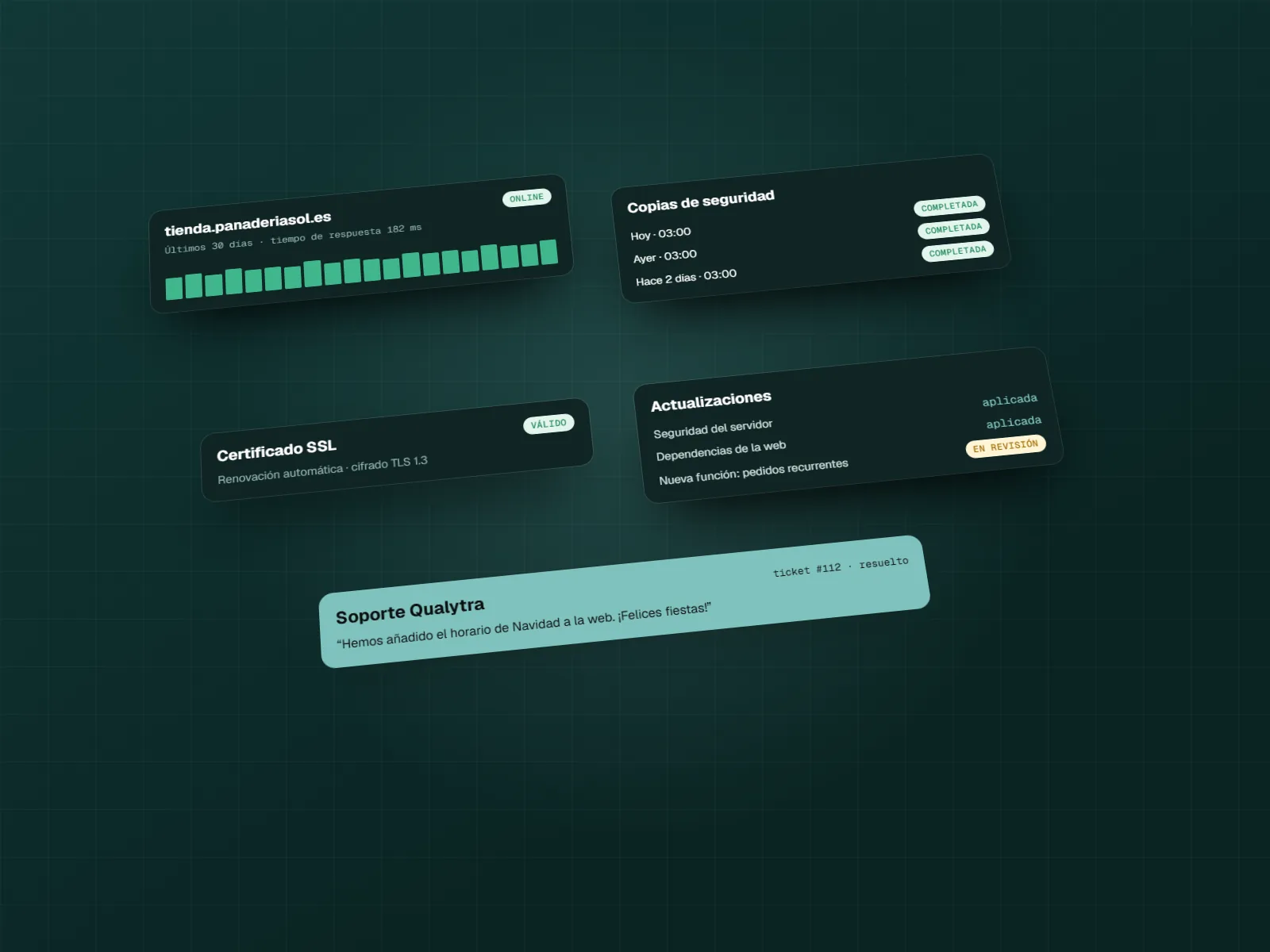 Estado del servidor, copias de seguridad, certificado SSL y actualizaciones de una web en mantenimiento
